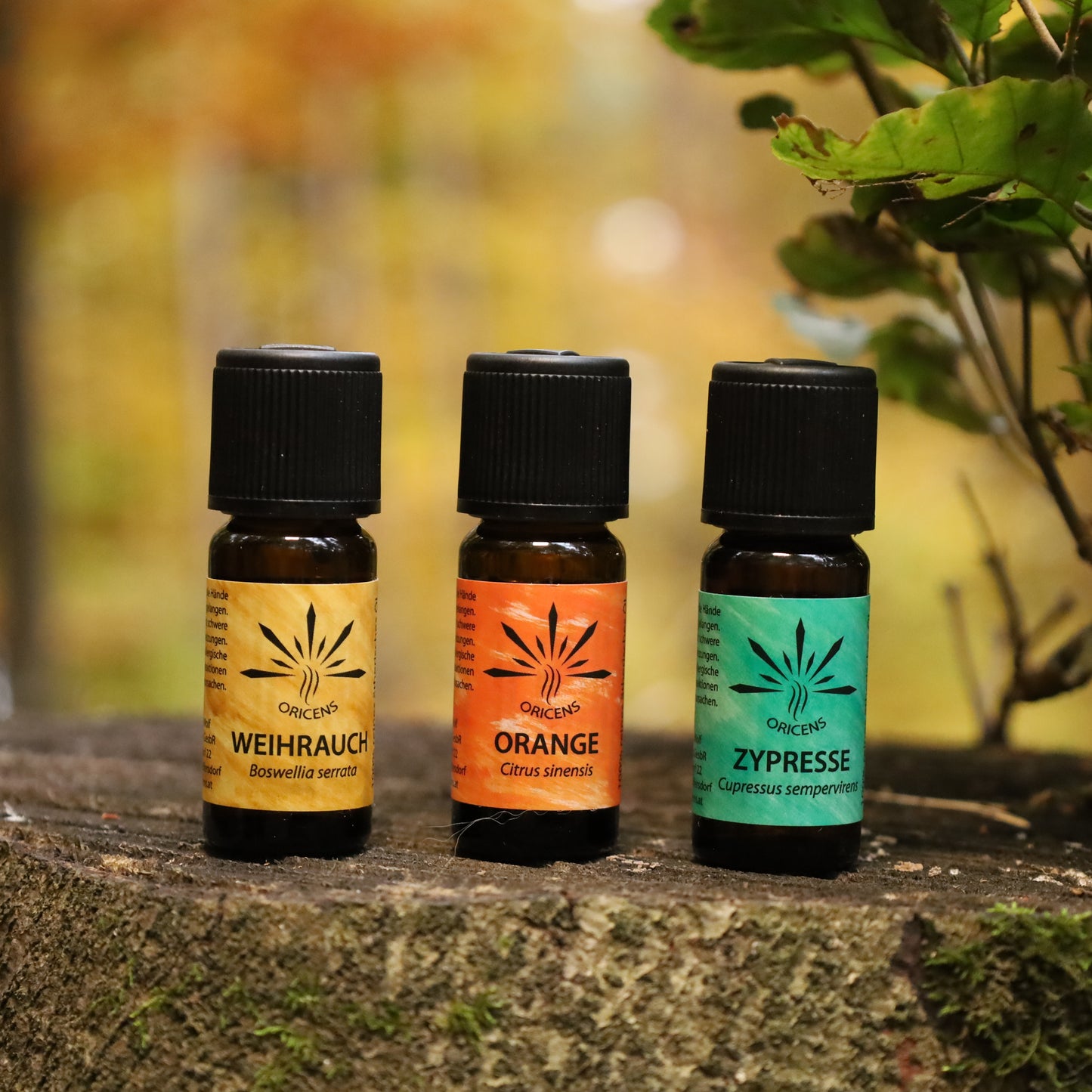 Weihnachtsset 3x10ml