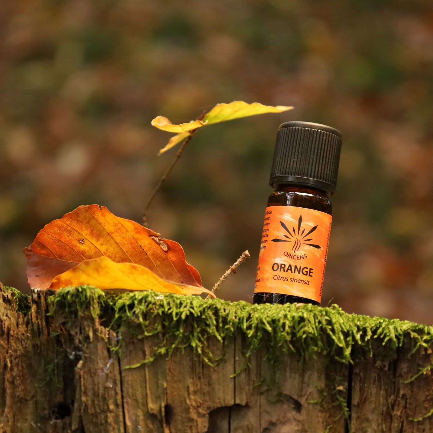 alt="Oricens Wolf Liebmann GesbR Bio Orangenöl Citrus sinensis, 10 ml, 100 % naturreines ätherisches Öl im braunen Glasfläschchen"