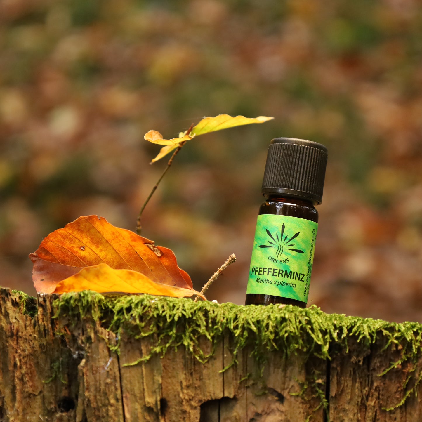 alt="Oricens Wolf Liebmann GesbR Bio Pfefferminzöl Mentha x piperita, 10 ml, 100 % naturreines ätherisches Öl im braunen Glasfläschchen"