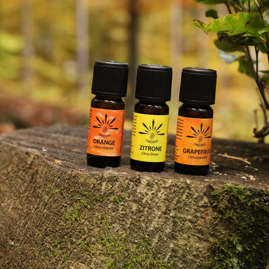 alt="Oricens Wolf Liebmann GesbR Bio Lumiere du Sud-Set, 3 x 10 ml, 100 % naturreine ätherische Öle im braunen Glasfläschchen"