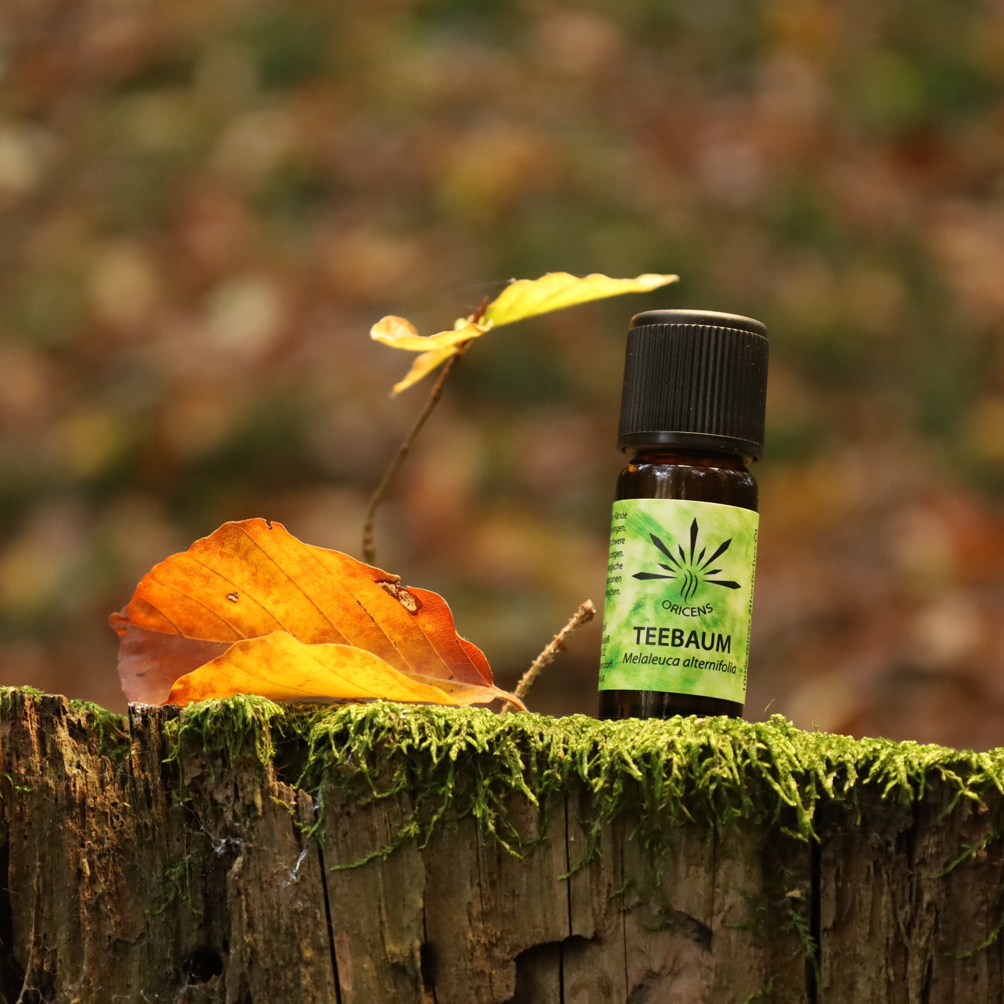 alt="Oricens Wolf Liebmann GesbR Bio Teebaumöl Melaleuca alternifolia, 10 ml, 100 % naturreines ätherisches Öl im braunen Glasfläschchen"