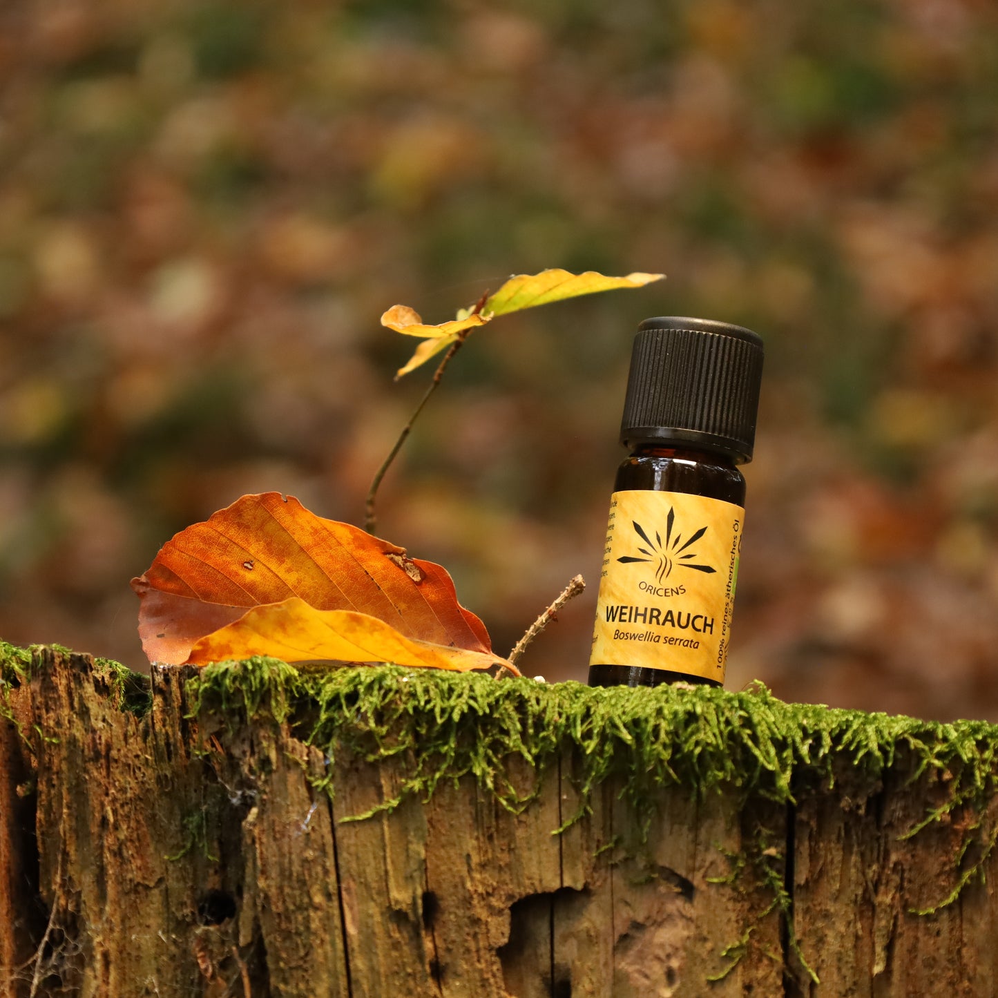 alt="Oricens Wolf Liebmann GesbR Bio Weihrauchöl Boswellia serrata, 10 ml, 100 % naturreines ätherisches Öl im braunen Glasfläschchen"