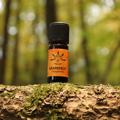 alt="Oricens Wolf Liebmann GesbR Bio Grapefruitöl Citrus paradisi, 10 ml, 100 % naturreines ätherisches Öl im braunen Glasfläschchen"