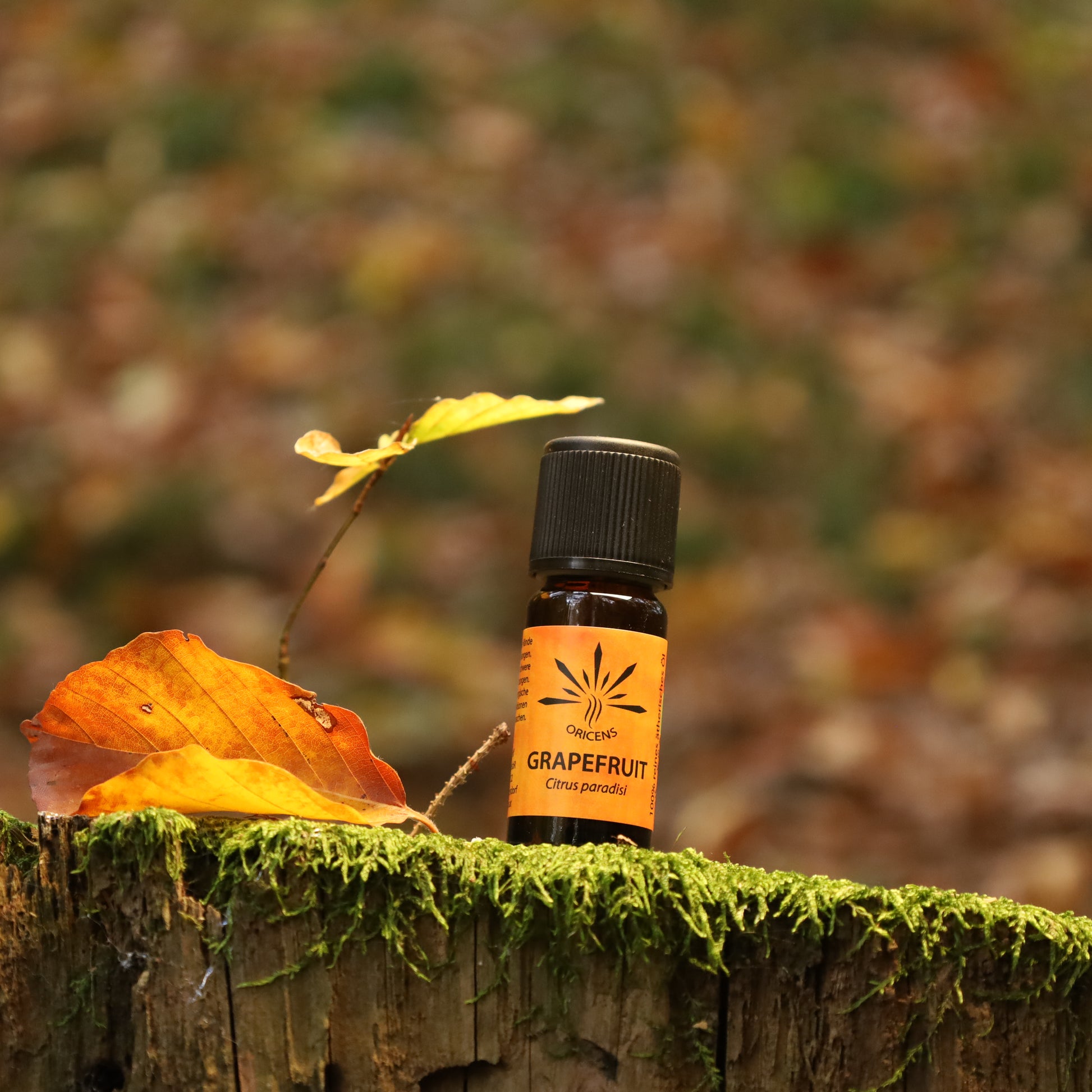 alt="Oricens Wolf Liebmann GesbR Bio Grapefruitöl Citrus paradisi, 10 ml, 100 % naturreines ätherisches Öl im braunen Glasfläschchen"
