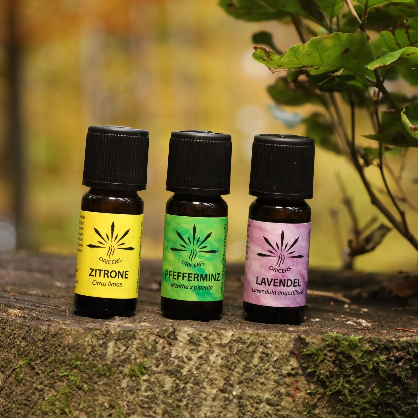 alt="Oricens Wolf Liebmann GesbR Bio Willkommens-Set, 3 x 10 ml, 100 % naturreine ätherische Öle im braunen Glasfläschchen"