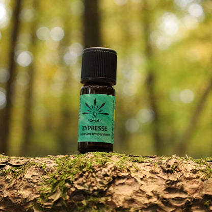 alt="Oricens Wolf Liebmann GesbR Bio Zypressenöl Cupressus sempervirens, 10 ml, 100 % naturreines ätherisches Öl im braunen Glasfläschchen"