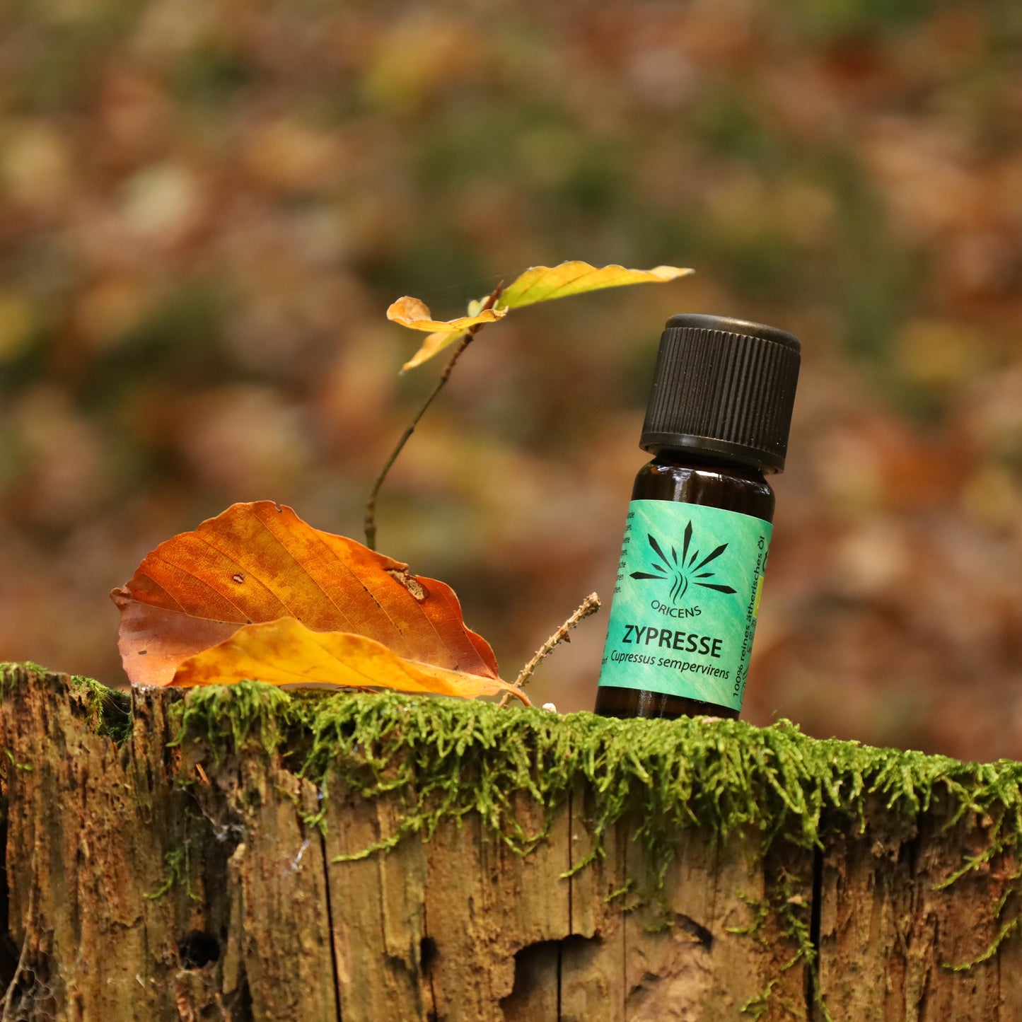 alt="Oricens Wolf Liebmann GesbR Bio Zypressenöl Cupressus sempervirens, 10 ml, 100 % naturreines ätherisches Öl im braunen Glasfläschchen"